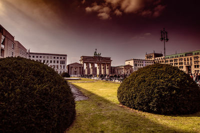 View of garden with buildings in background