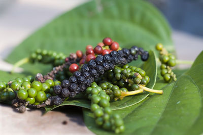 Close-up of fruits