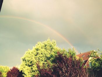 Low angle view of rainbow over trees