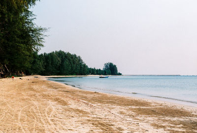 Scenic view of beach against clear sky