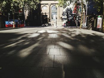 Shadow of trees on road in city