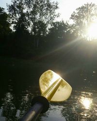 Sun shining through trees