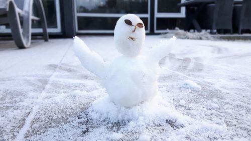 Close-up of snowman on footpath