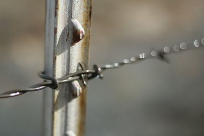 Close-up of rusty chain