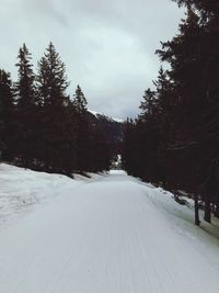 Snow covered road amidst trees against sky during winter