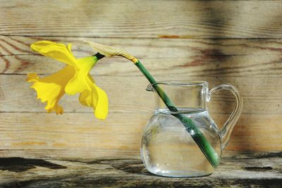 Close-up of yellow rose in glass vase on table