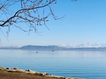 Scenic view of lake against clear blue sky