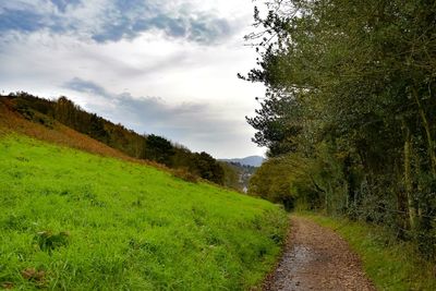 Scenic view of field against sky