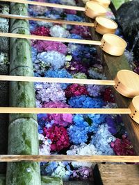 Close-up of multi colored vegetables for sale in market