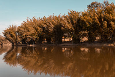 Trees by lake against sky during autumn