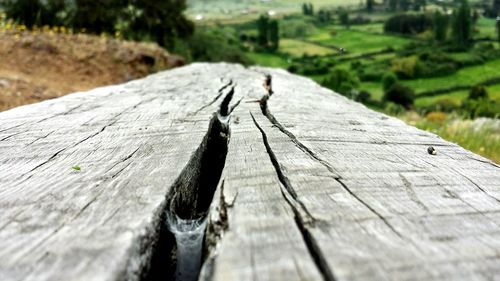 Close-up of wooden plank
