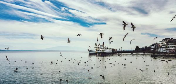 Birds flying over sea against sky