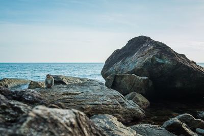 Rock formation on sea shore against sky