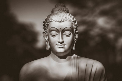 Close-up portrait of young man statue against blurred background