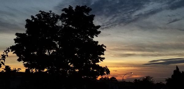 Low angle view of silhouette tree against sky at sunset