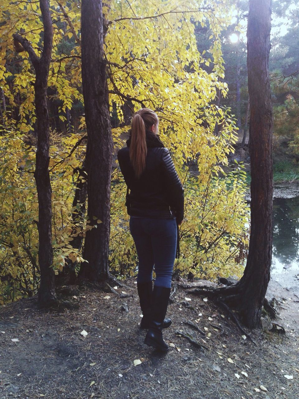 tree, rear view, full length, lifestyles, forest, tree trunk, casual clothing, leisure activity, standing, walking, nature, person, growth, tranquility, branch, day, autumn, outdoors