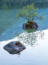 Scenic view of rock by lake