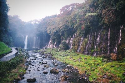 Scenic view of waterfall in forest