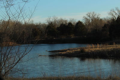 Reflection of trees in lake