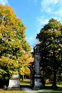 Trees in garden against sky