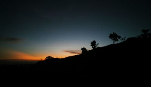 Silhouette of trees at sunset