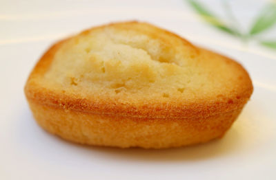 Close-up of cake on plate