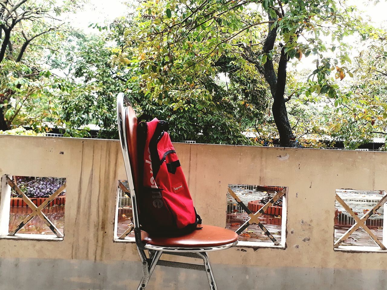 tree, red, chair, day, no people, folding chair, outdoors, nature