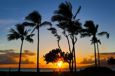 Silhouette palm trees at beach during sunset