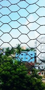 Close-up of plants seen through fence