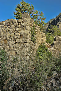 Low angle view of rocks and plants against sky