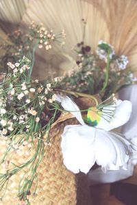 Close-up of white flowering plant