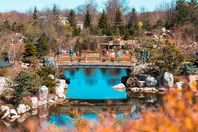 The bridge in the japanese gardens on a spring day