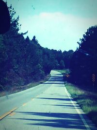 Country road along trees