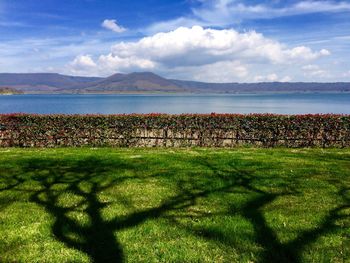 Scenic view of grassy landscape against cloudy sky