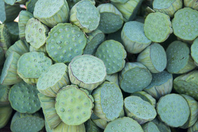 Full frame shot of lotus plant pods