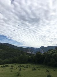 Scenic view of landscape against sky