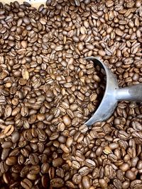 High angle view of coffee beans