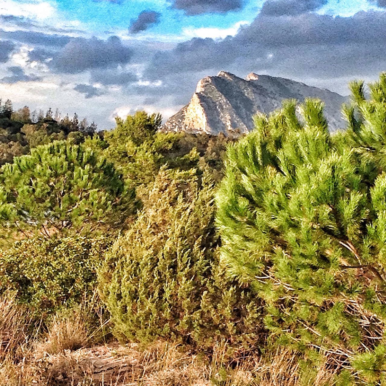 tranquility, tranquil scene, scenics, beauty in nature, nature, plant, growth, mountain, sky, rock - object, rock formation, green color, tree, cliff, non-urban scene, landscape, high angle view, idyllic, water, sea