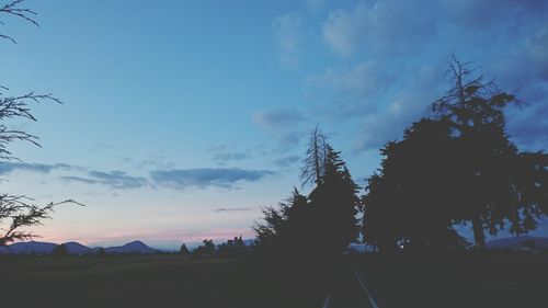 Silhouette of trees against cloudy sky