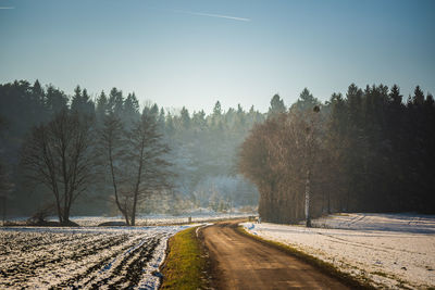 Road amidst trees against sky during winter