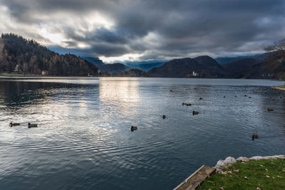 Island in lake bled. dreamlike atmosphere for the church of s. maria assunta. slovenia