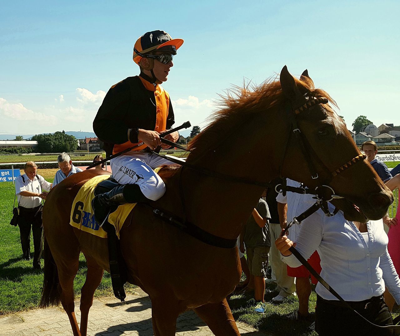 REAR VIEW OF MAN RIDING HORSES