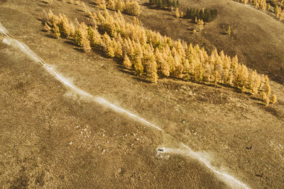 High angle view of field