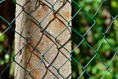 Close-up of chainlink fence