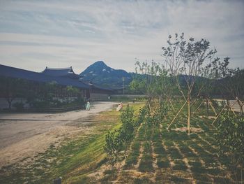 Scenic view of landscape against sky