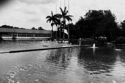 Swimming pool by palm trees against sky