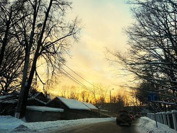 View of a dog at sunset