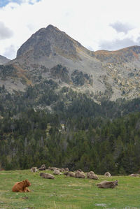 Scenic view of mountain range against sky