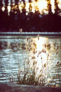 water