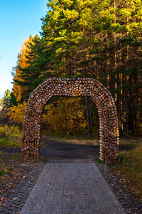 Footpath in park